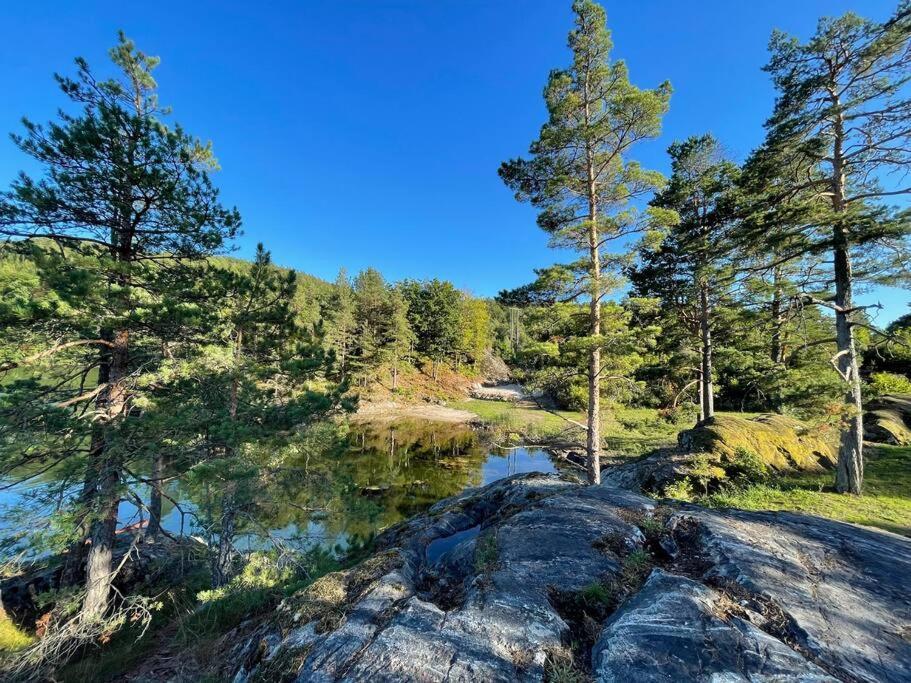 Bosvik Gard, Nyrenovert Leilighet I Hovedhus Fra 1756 Risor Bagian luar foto