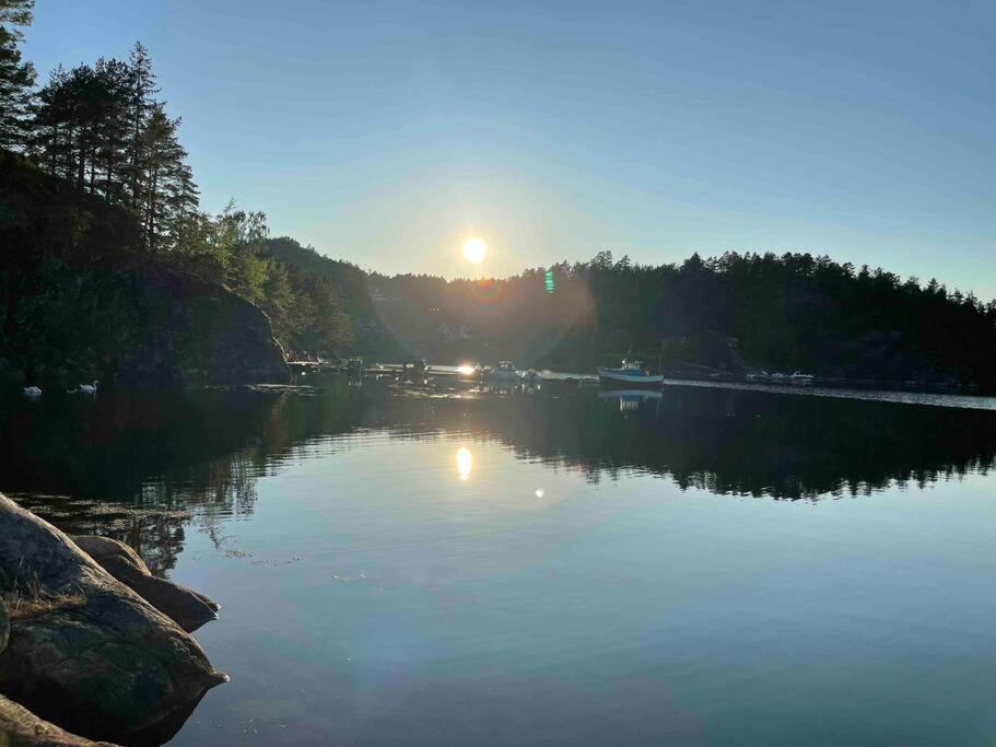 Bosvik Gard, Nyrenovert Leilighet I Hovedhus Fra 1756 Risor Bagian luar foto